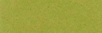 2c_firstvintage_applegreen