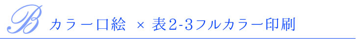 B.カラー口絵×表2-3フルカラー印刷