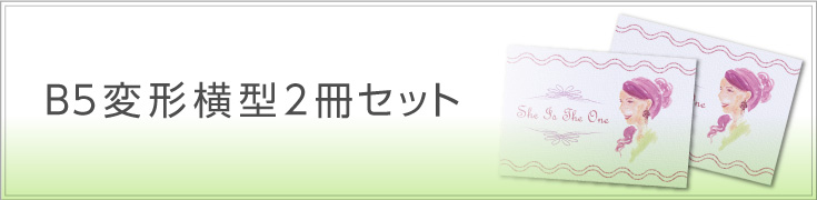 Ｂ５変形横型2冊セット