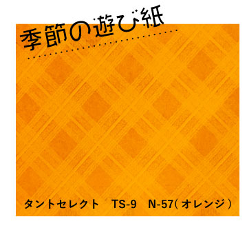 季節の遊び紙 タントセレクトTS-9 N-57(オレンジ)