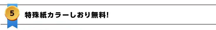 片面フルカラーしおり無料