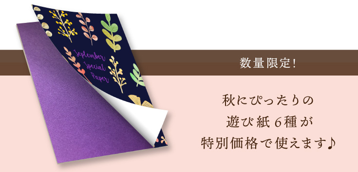 数量限定！秋にぴったりの遊び紙6種が特別価格で使えます♪