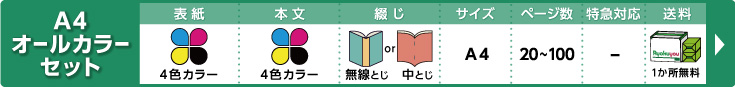 A4オールカラーセット