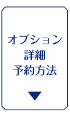 オプション詳細・予約方法