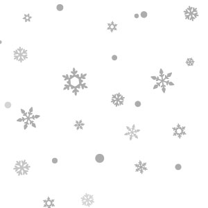 雪の結晶トレペ　52kg