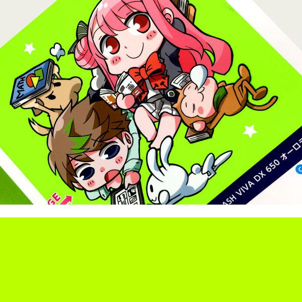 TOKA FLASH VIVA DX 630
ペルセフォネグリーン